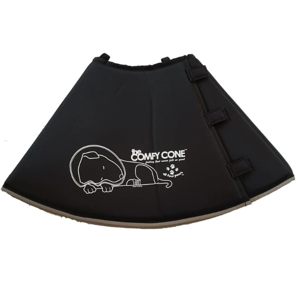 Cone Alternatives for Dogs Preventive Vet